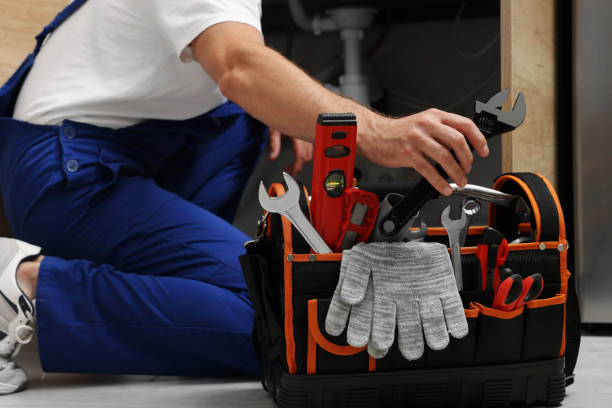 Best Plumbing Services Near Me  in North St Paul, MN